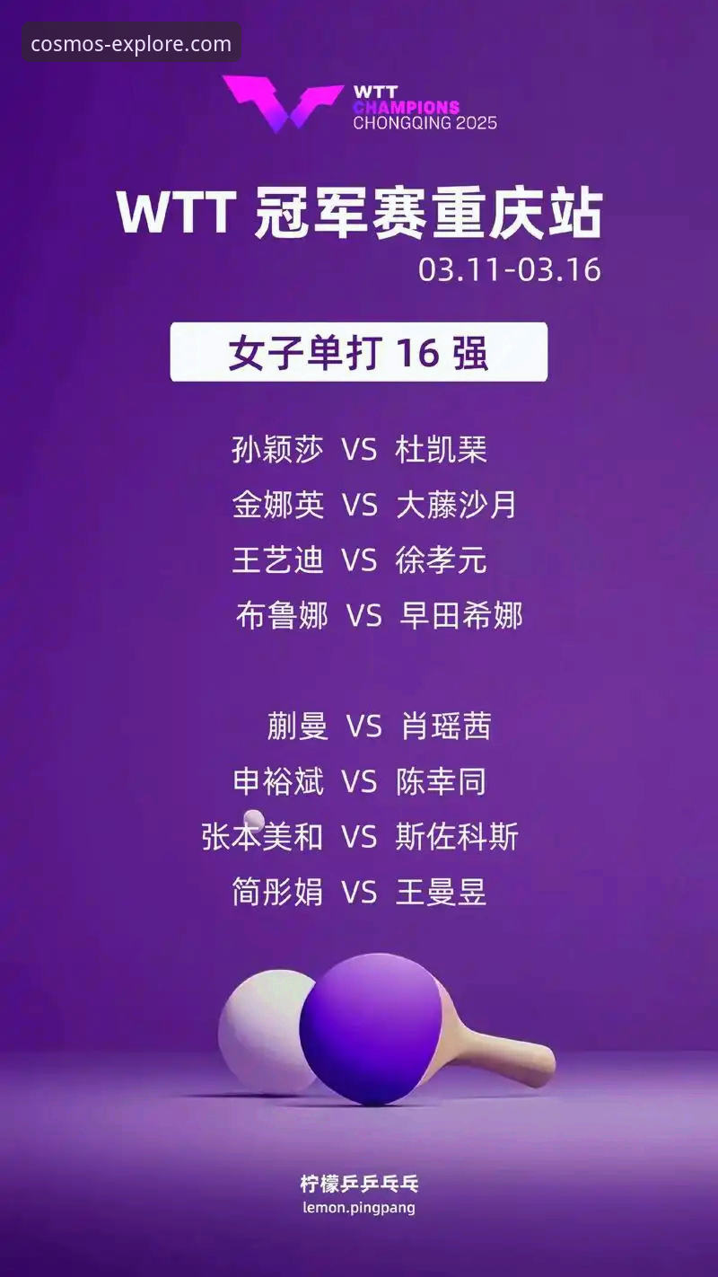 3个关键转折点，复盘WTT重庆冠军赛的青春风暴